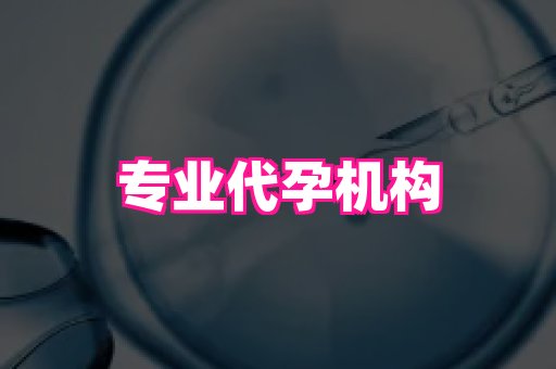 北京助孕网 1
