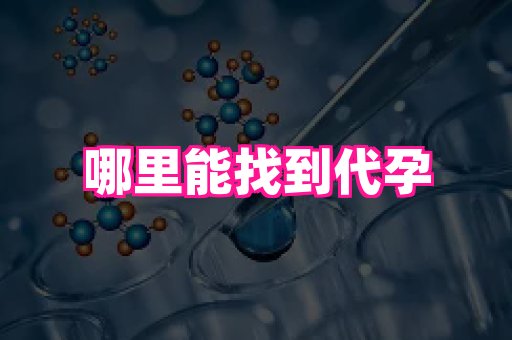 北京助孕网 2