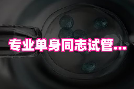 北京助孕网 4